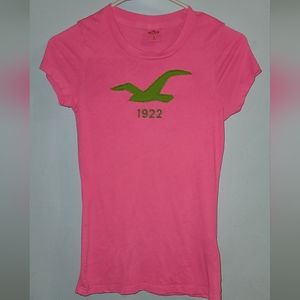 Holister bright pink embroidered green seagull t-shirt short sleeve 90s Vintage
